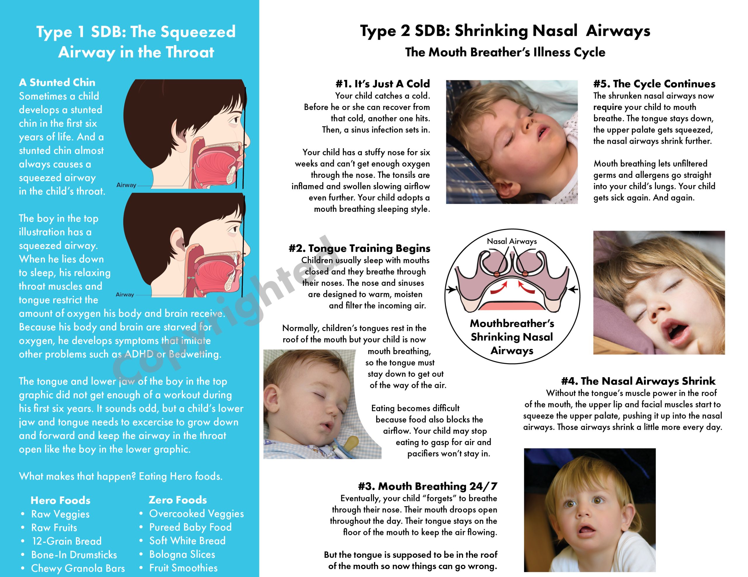 Introduction Tri-Fold Brochures